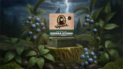 Sierra Storm - Home Glow