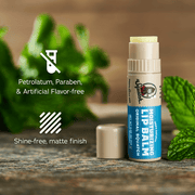 Lip Balm 4-Pack - Daily Set