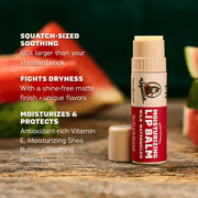 Lip Balm 4-Pack - Daily Set
