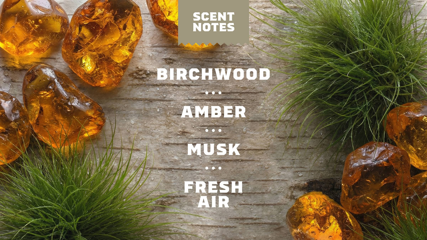Birchwood Breeze Deodorant - Daily Comfort