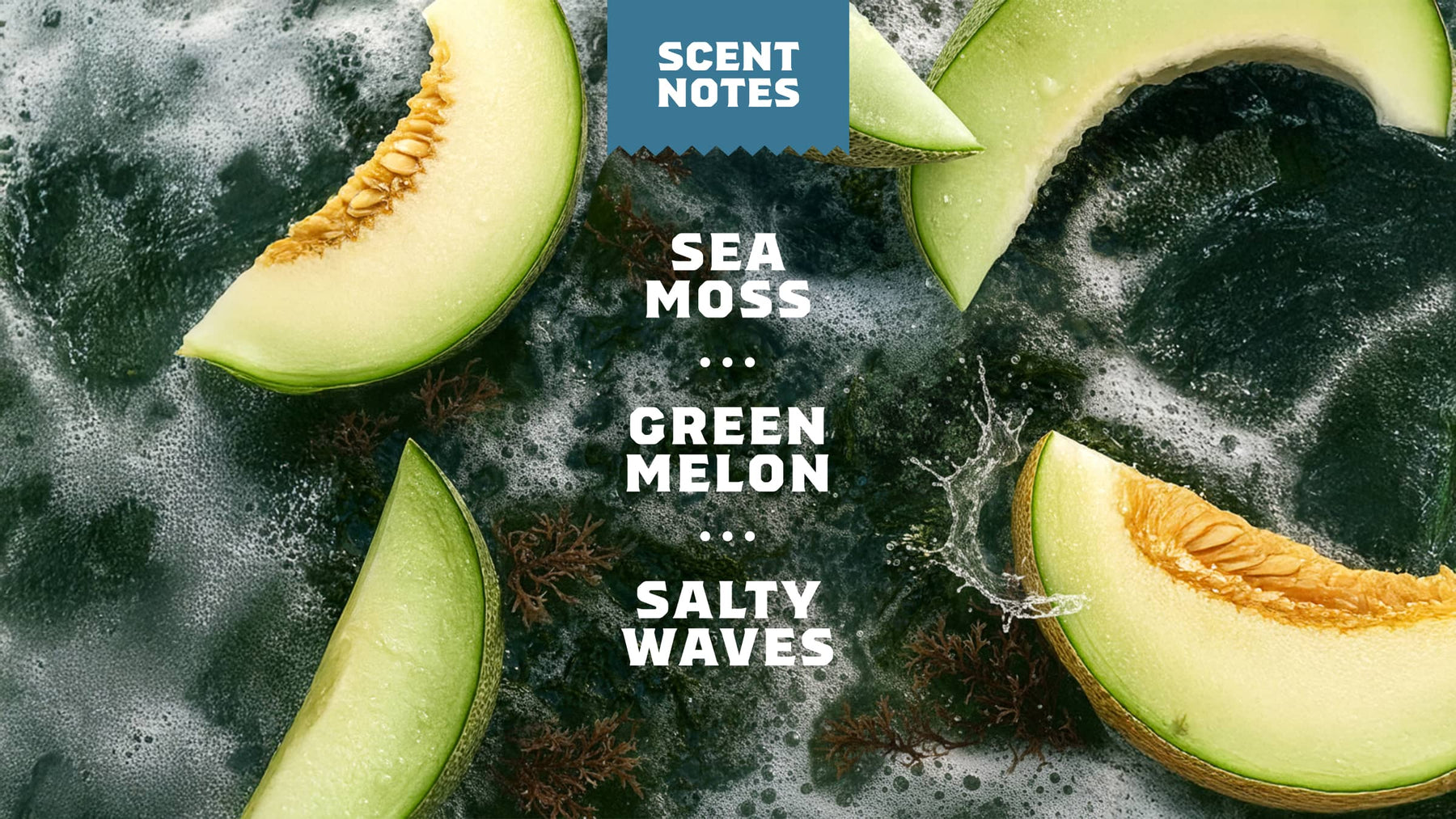 Coastal Mist - Daily Scent