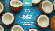 Coconut Castaway Refreshing Face Wash - Smooth Layer