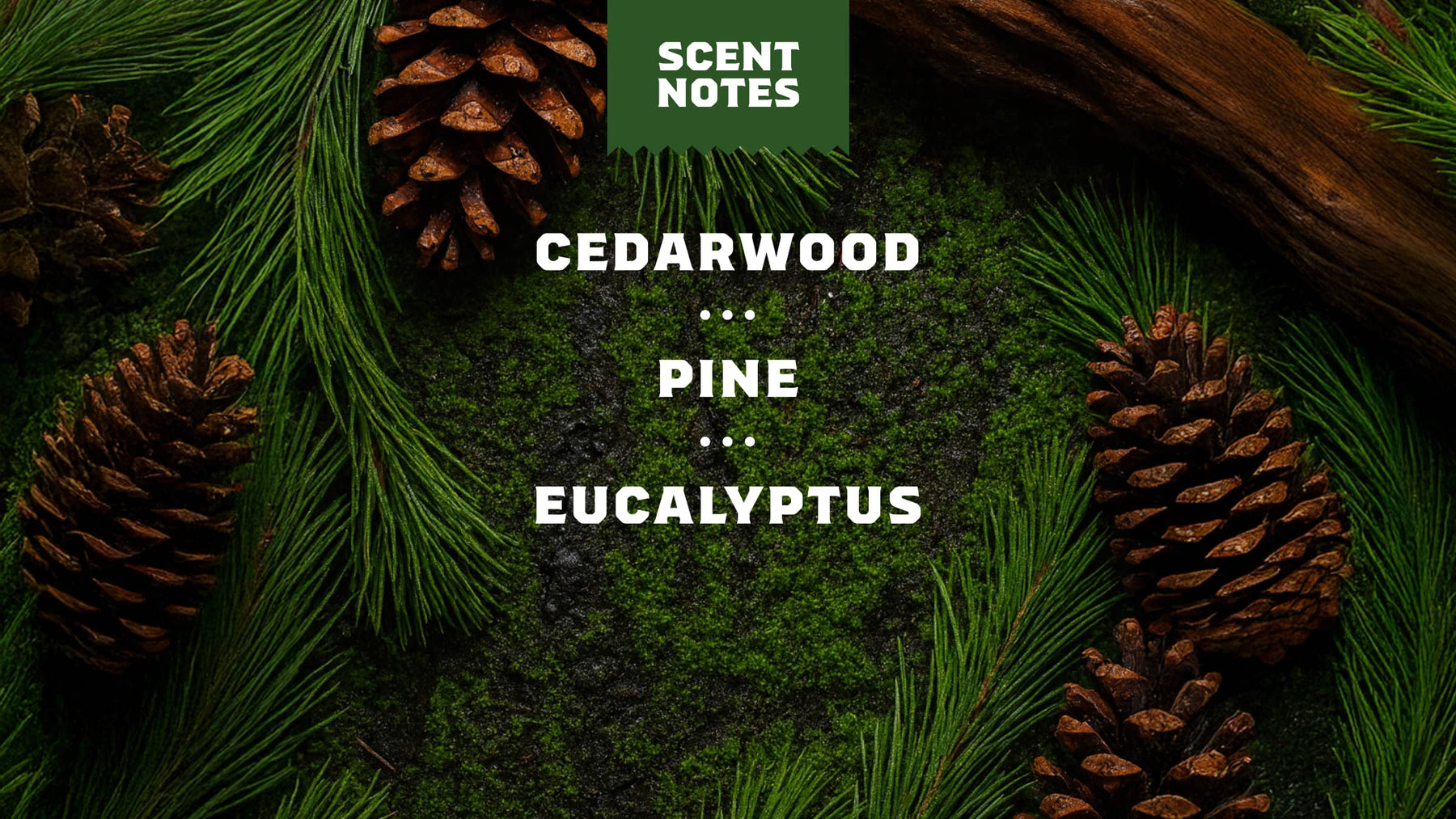 Pine Tar Conditioner - Clean Mood