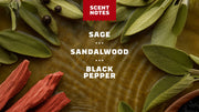 Sandalwood Summit Deodorant - Body Care