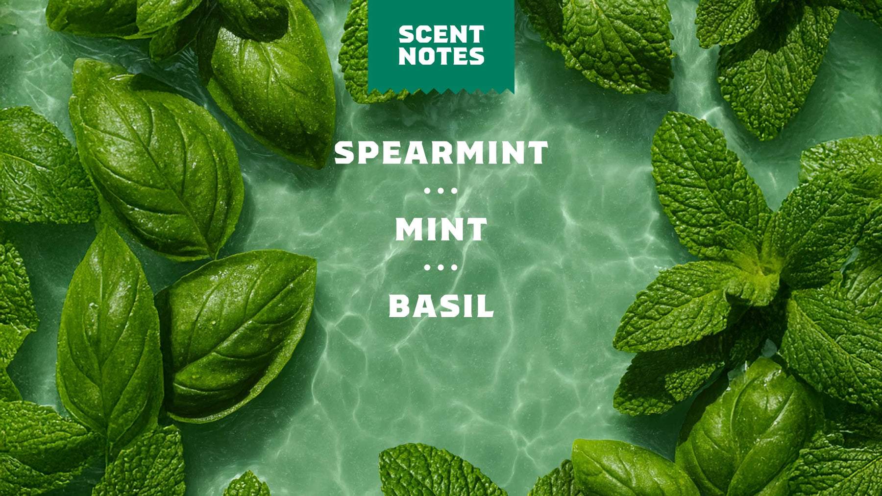 Spearmint Basil - Body Care