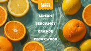 Summer Citrus - Daily Comfort