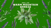 Alpine Sage - Fresh Notes