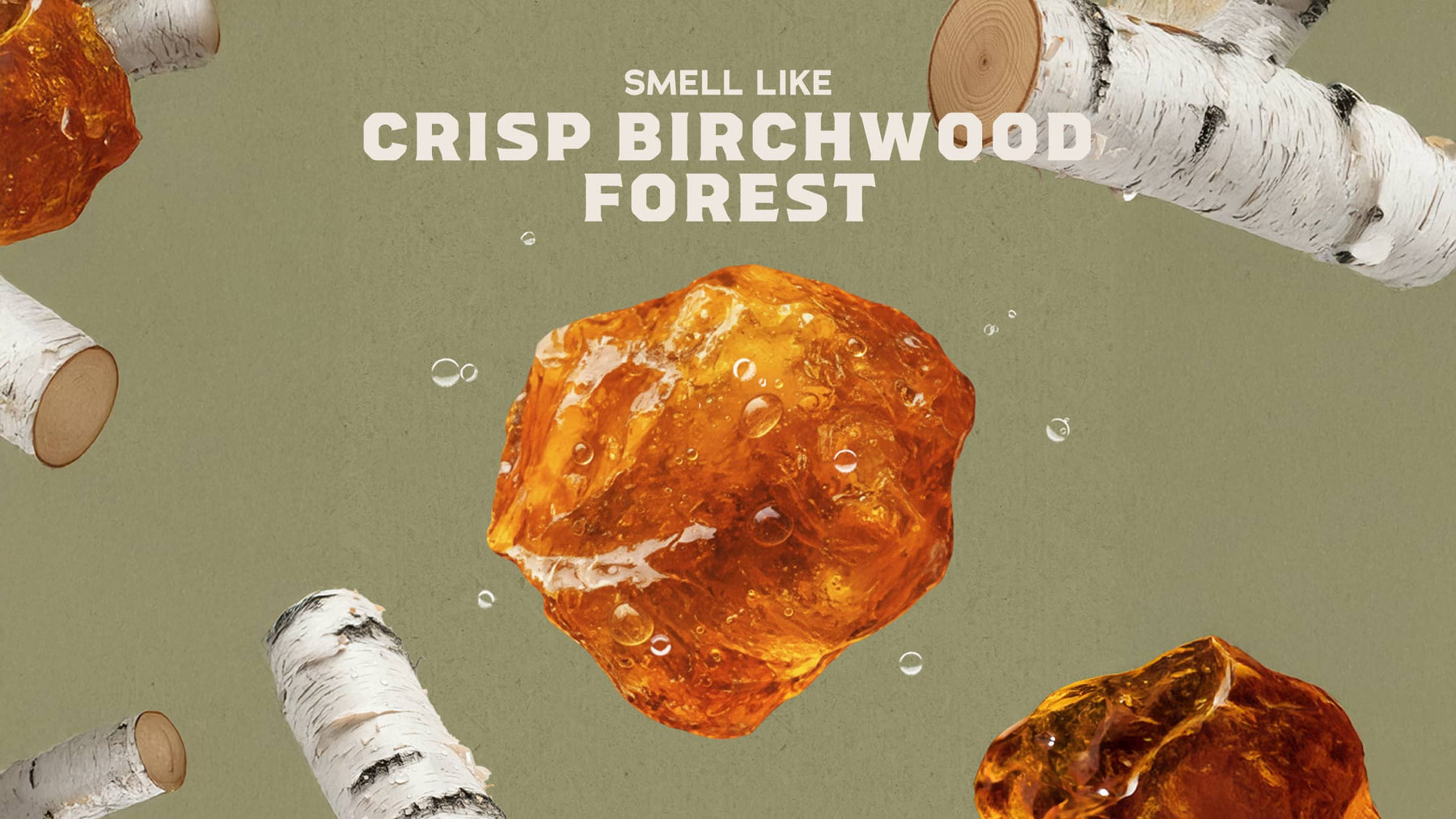 Birchwood Breeze Deodorant - Daily Comfort