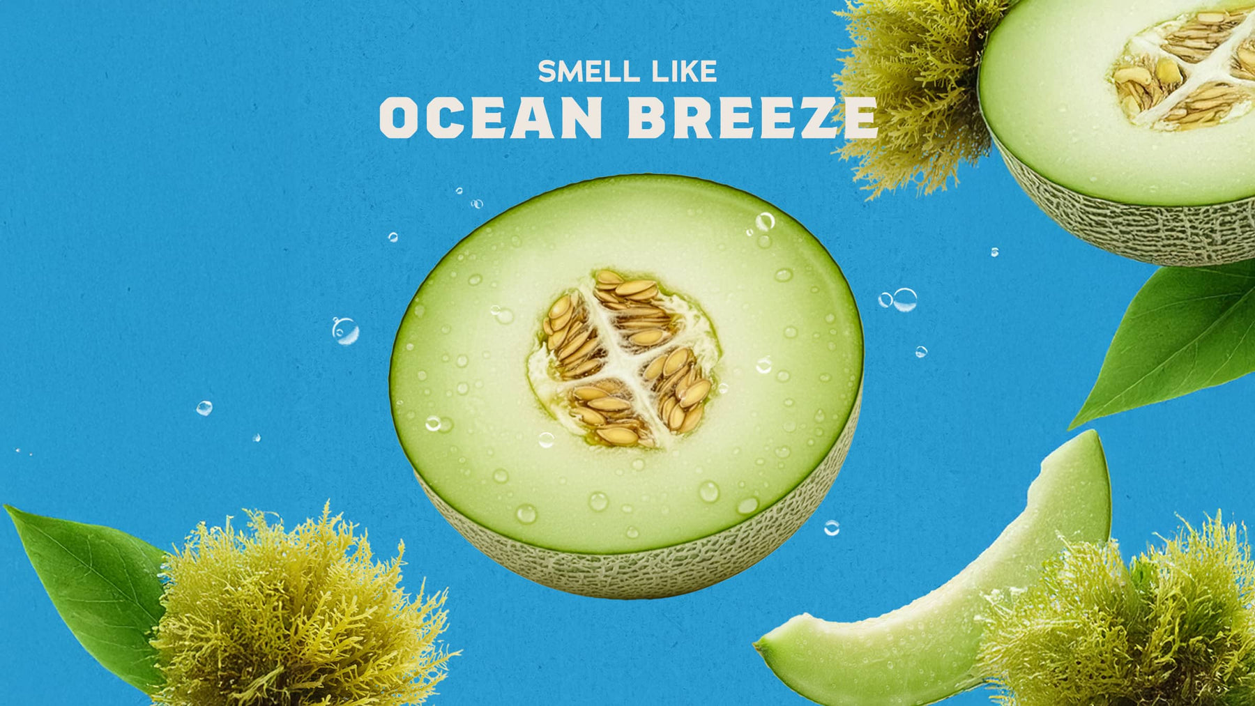 Coastal Mist Deodorant - Fresh Notes