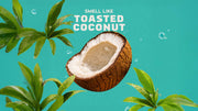 Coconut Castaway Deodorant - Daily Fresh