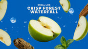 Fresh Falls - Fresh Notes