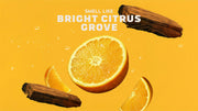Summer Citrus - Daily Comfort