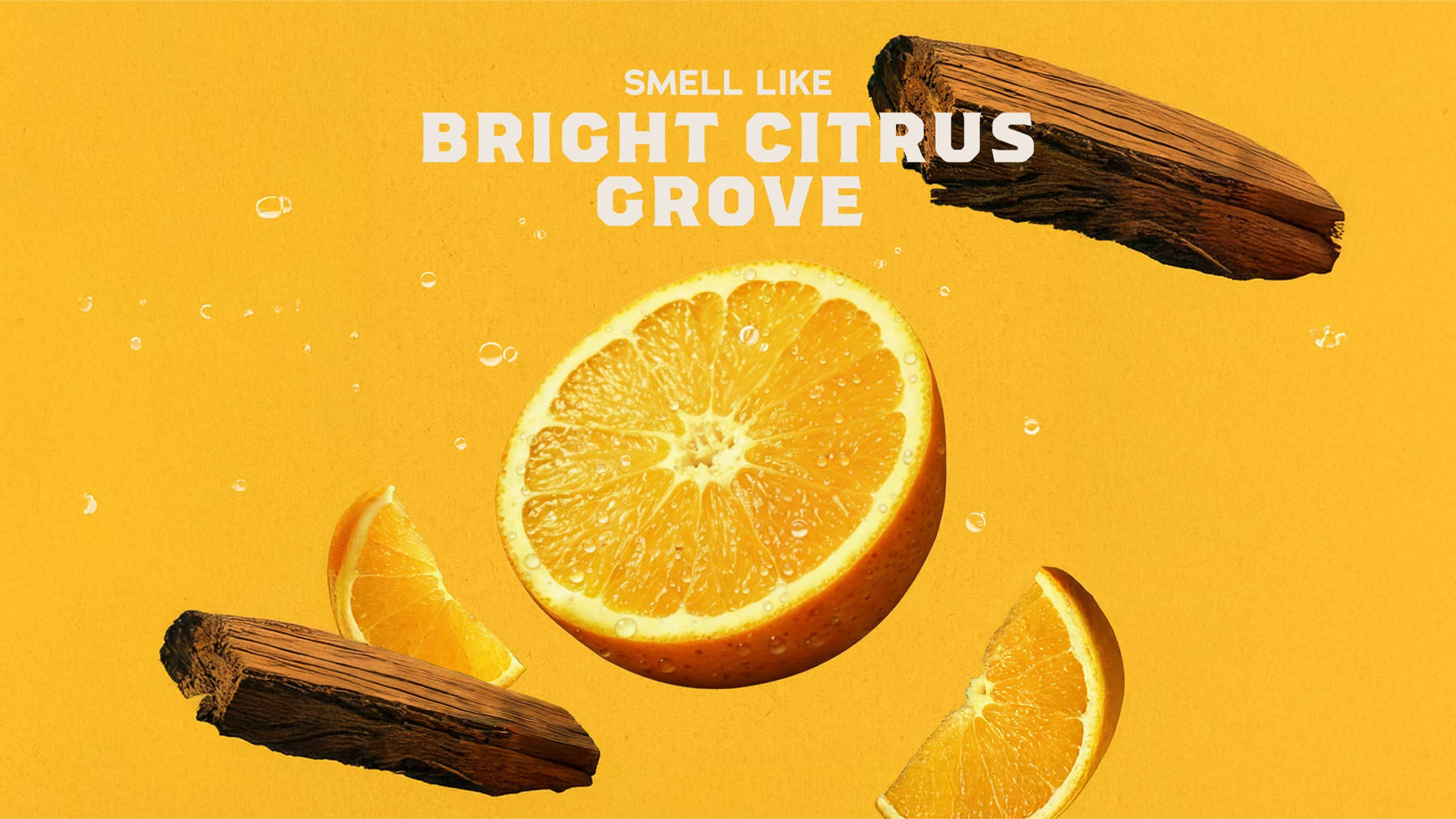 Summer Citrus Shampoo - Gentle Mist